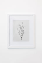 Enid Wall Art