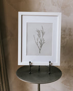 Enid Wall Art