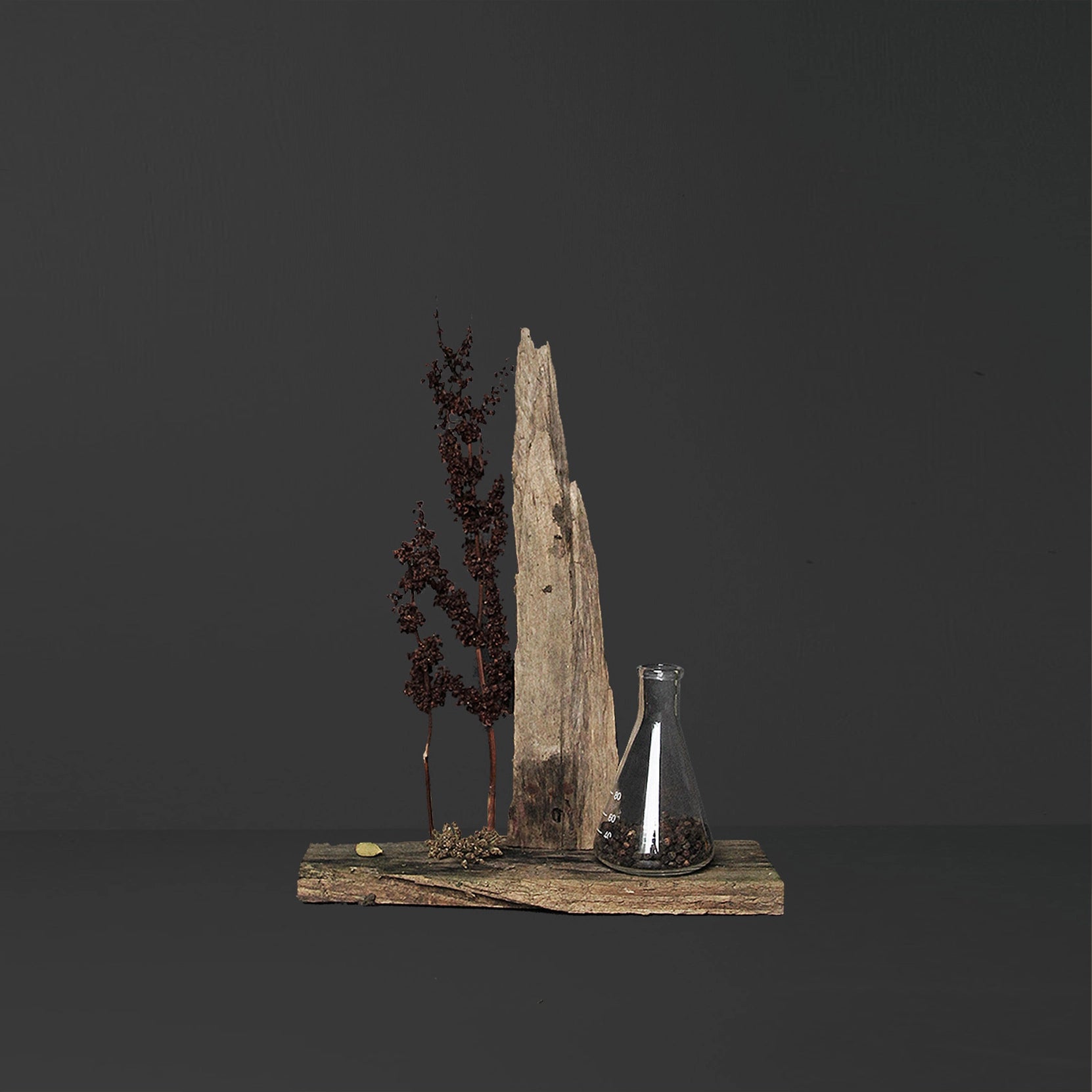 Woodlore Scented Candle (Pre-Order)